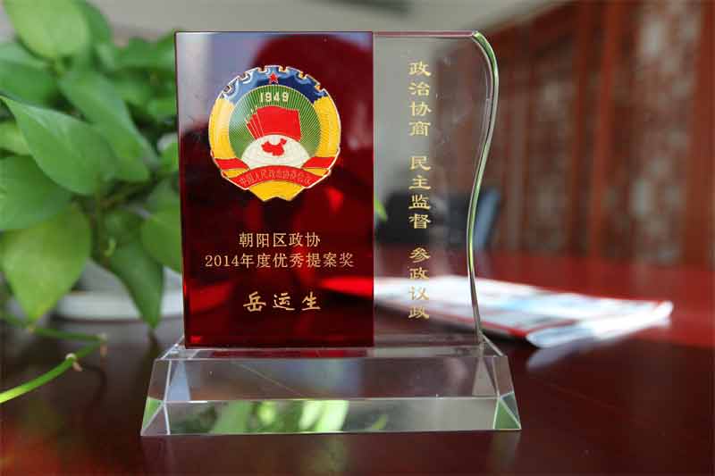 岳運(yùn)生主任獲北京朝陽政協(xié)表彰